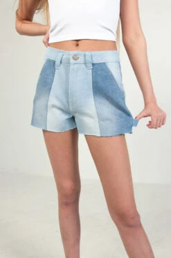 Two Tone Denim Carpenter Shorts