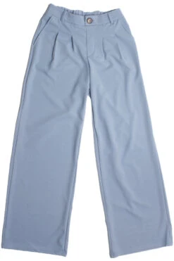 Faded Denim Pleated Wide Leg Dad Pant
